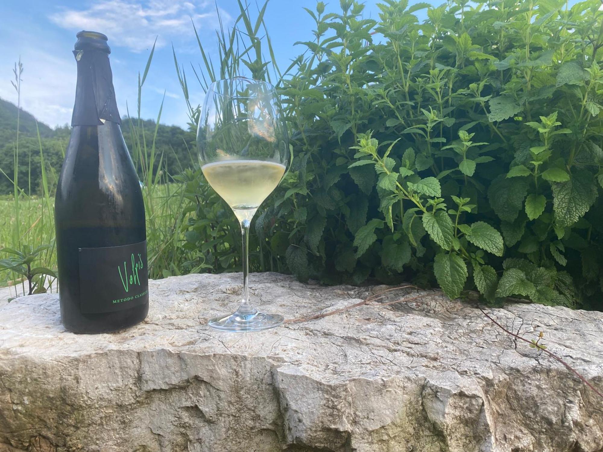 Agritur Verderame Trento Dış mekan fotoğraf