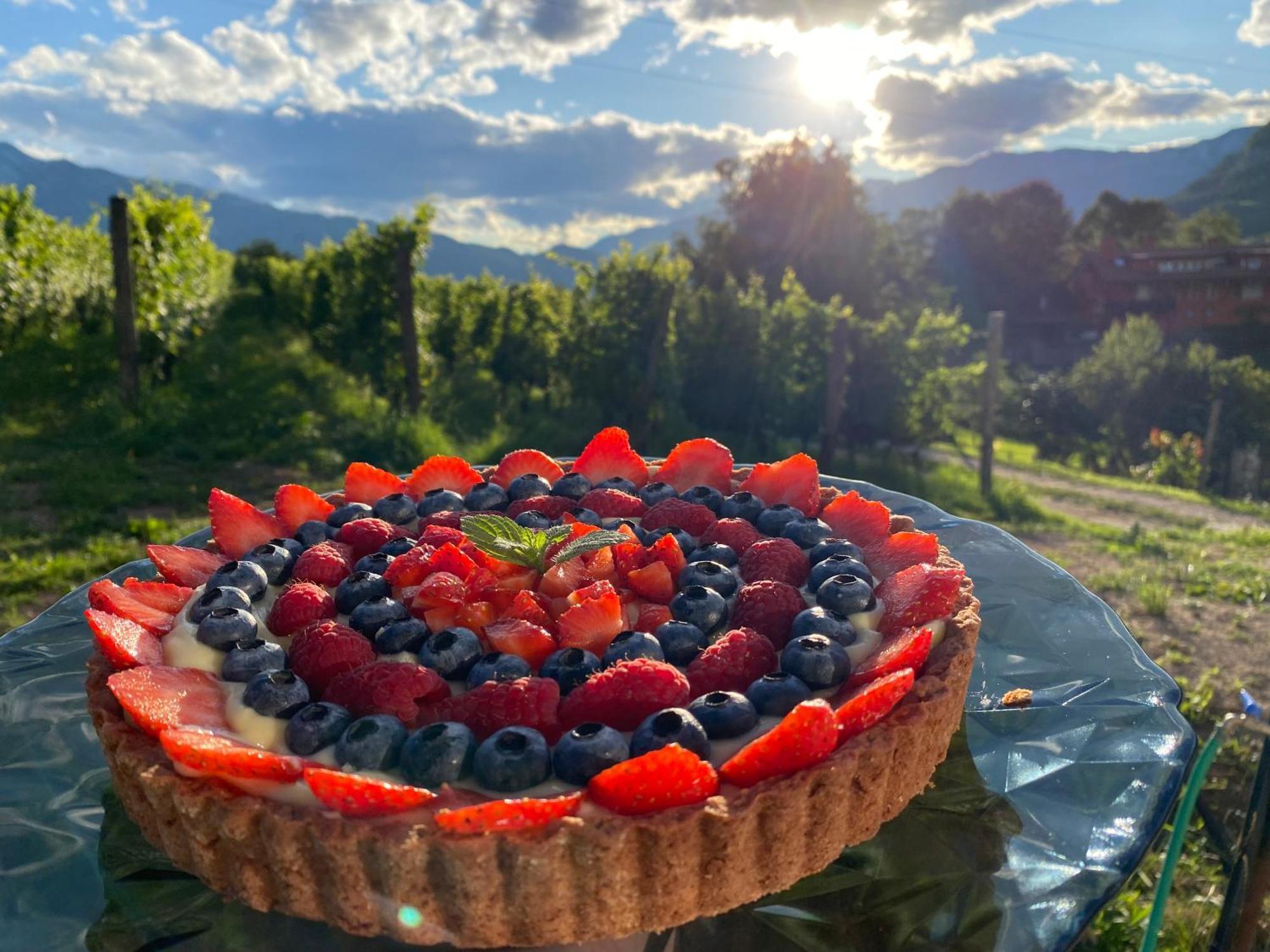 Agritur Verderame Trento Dış mekan fotoğraf