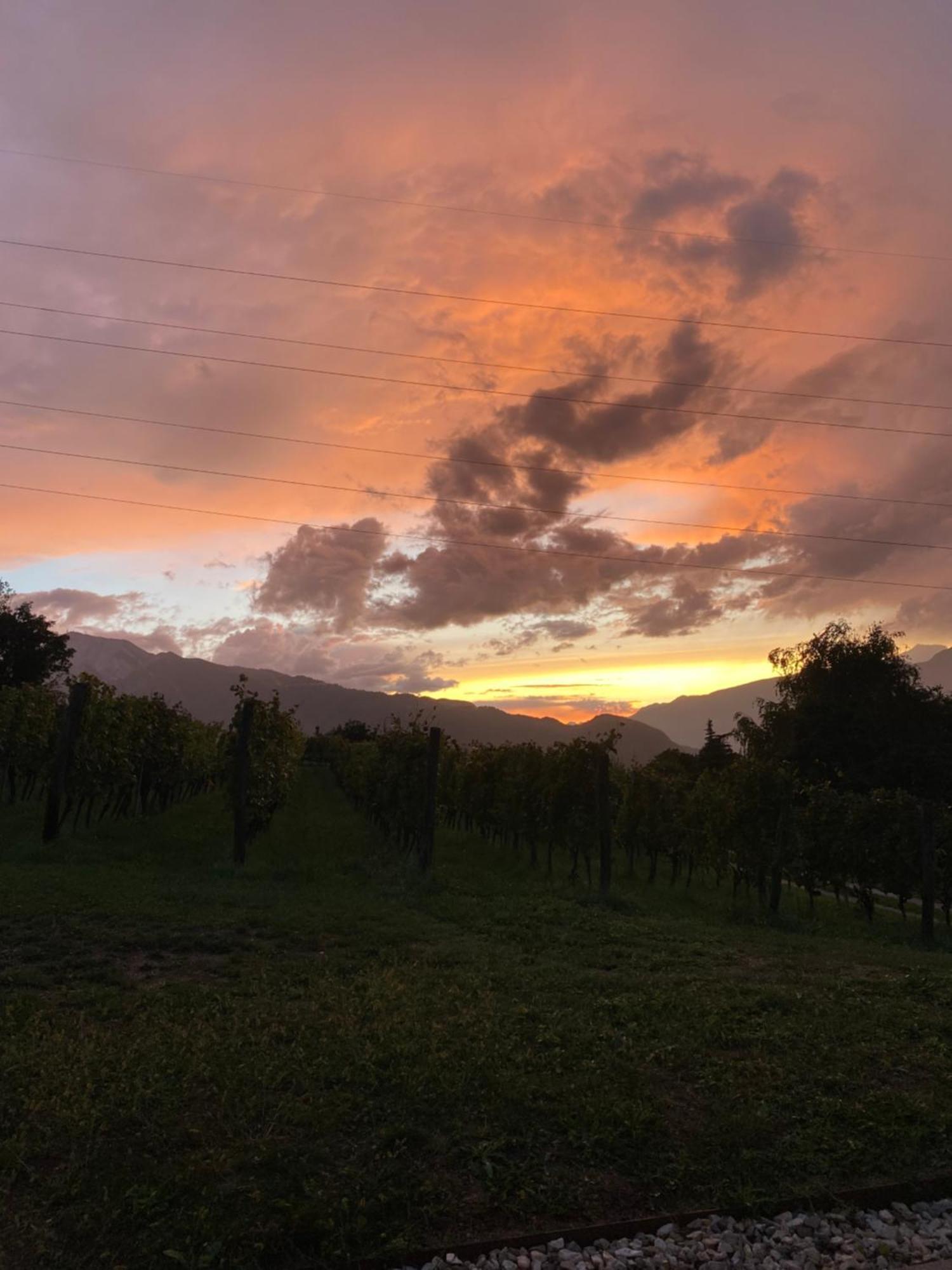 Agritur Verderame Trento Dış mekan fotoğraf